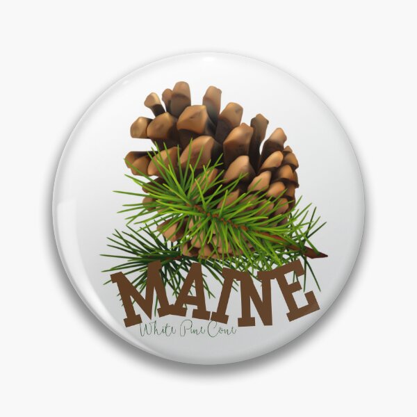 Item preview, Maine White Pine Cone State Flower Classic T-shirt Sticker designed and sold by ThinkNature!.