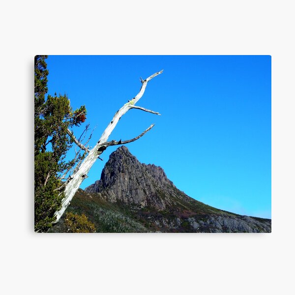 Up at Cradle Mountain Canvas Print