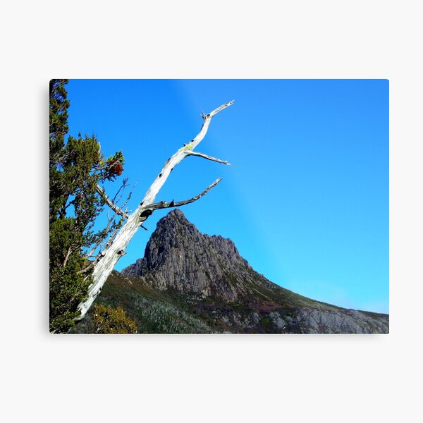 Up at Cradle Mountain Metal Print