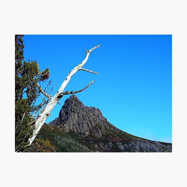 Item preview, Up at Cradle Mountain designed and sold by Philinblank.