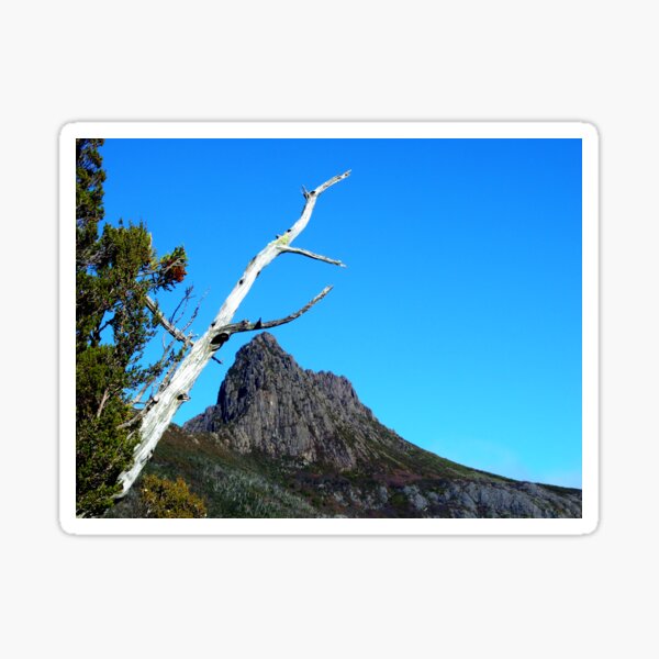 Up at Cradle Mountain Sticker
