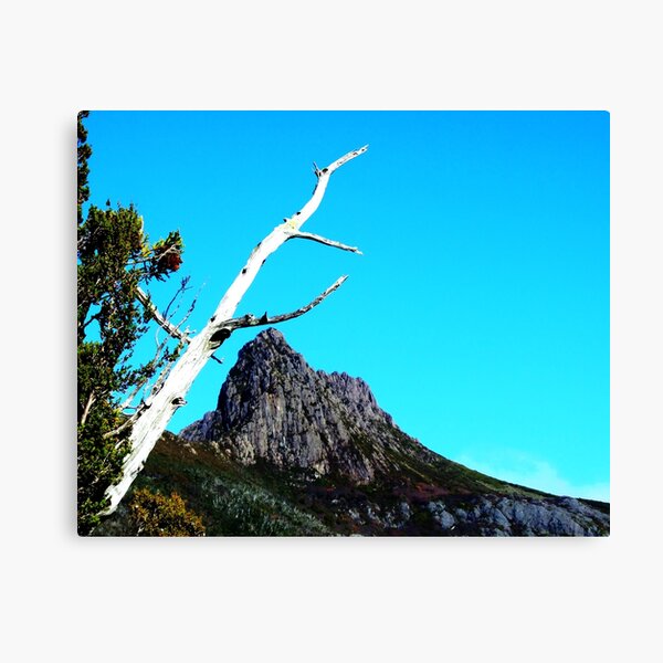Up at Cradle Mountain Canvas Print