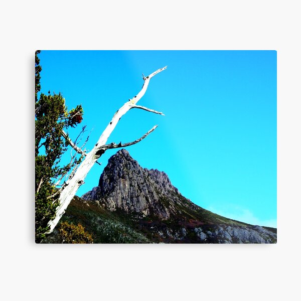 Up at Cradle Mountain Metal Print