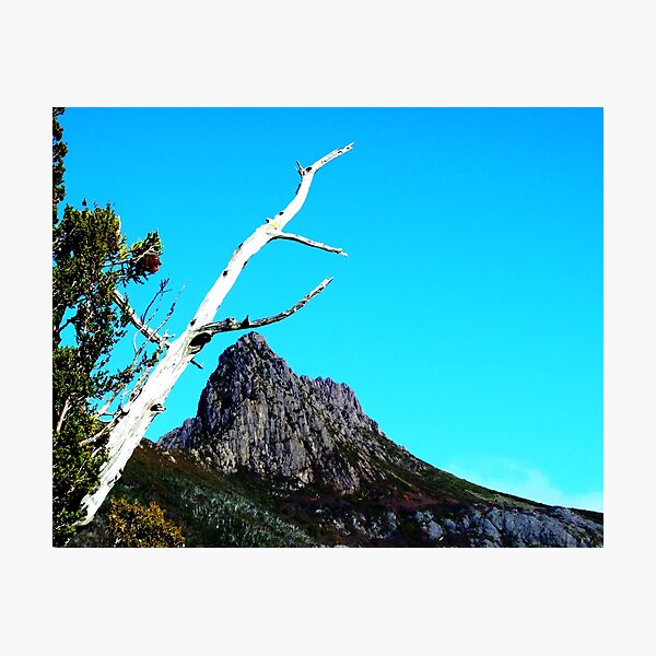 Item preview, Up at Cradle Mountain designed and sold by Philinblank.