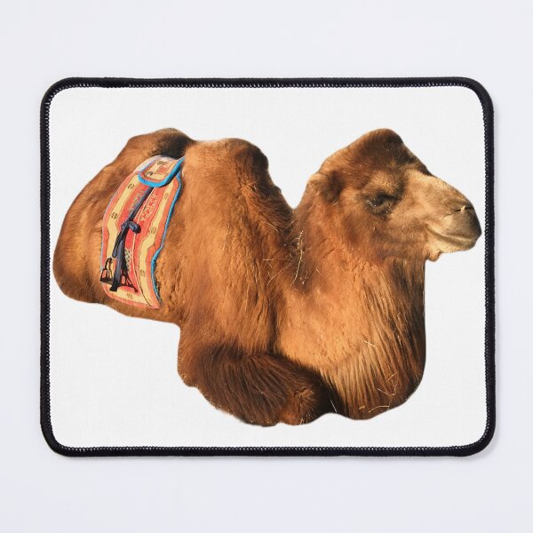 Item preview, Mongolian camel with saddle sitting down designed and sold by GeoGoose.