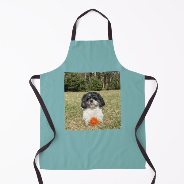 Item preview, Louie luvs to play with his fav ball designed and sold by Acearnie.