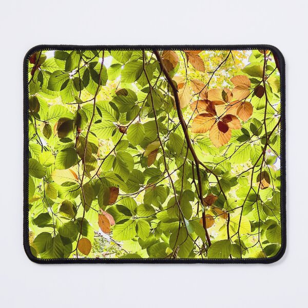 Item preview, Nearly Autumn designed and sold by Geoff Carpenter.