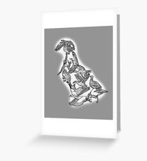 Anseriformes - Ducks - Evolution Greeting Card