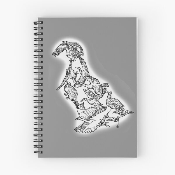 Item preview, Anseriformes - Ducks - Evolution designed and sold by EvolutionPoster.