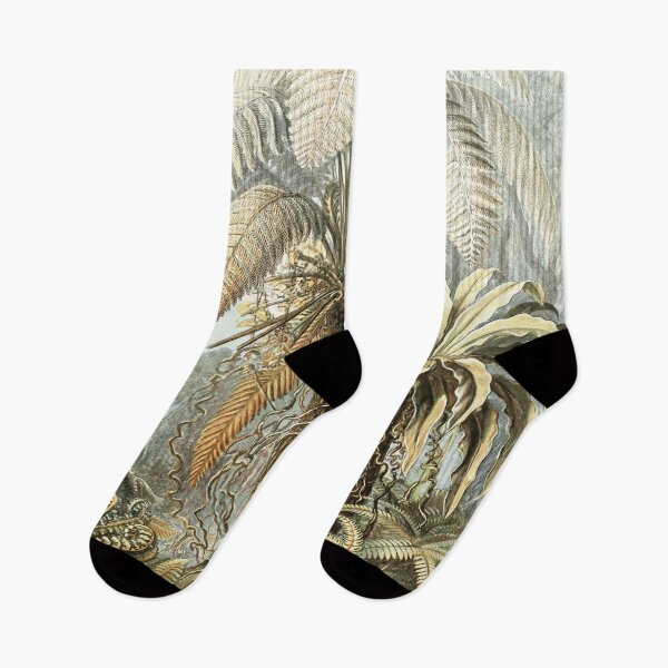 Item preview, Vintage Tropical Palm Illustration Ernst Haeckel  designed and sold by AntiqueGallery.