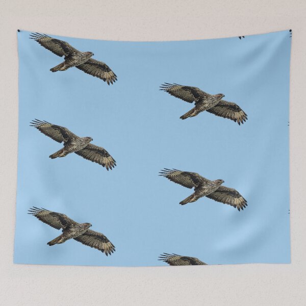 Item preview, Bonelli's Eagle Color Design  designed and sold by designsasstultd.