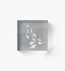 Anseriformes - Ducks - Evolution - Birds Acrylic Block