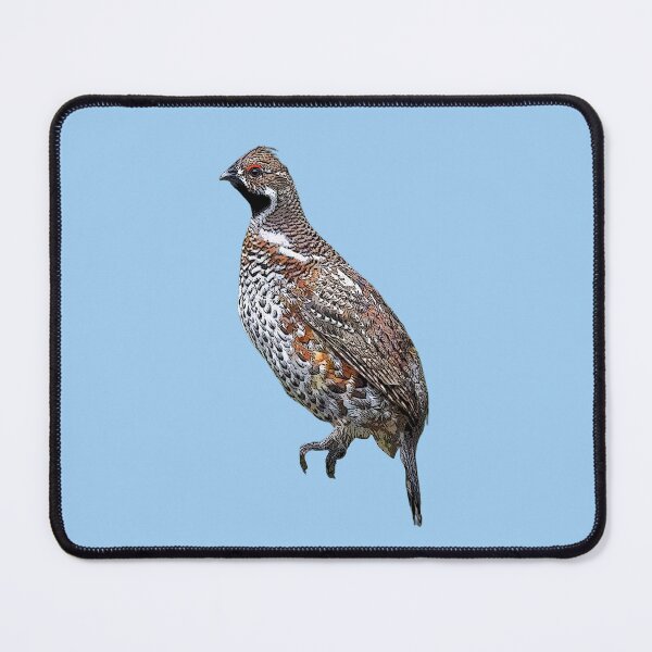 Item preview, Hazel Grouse Color Design designed and sold by designsasstultd.