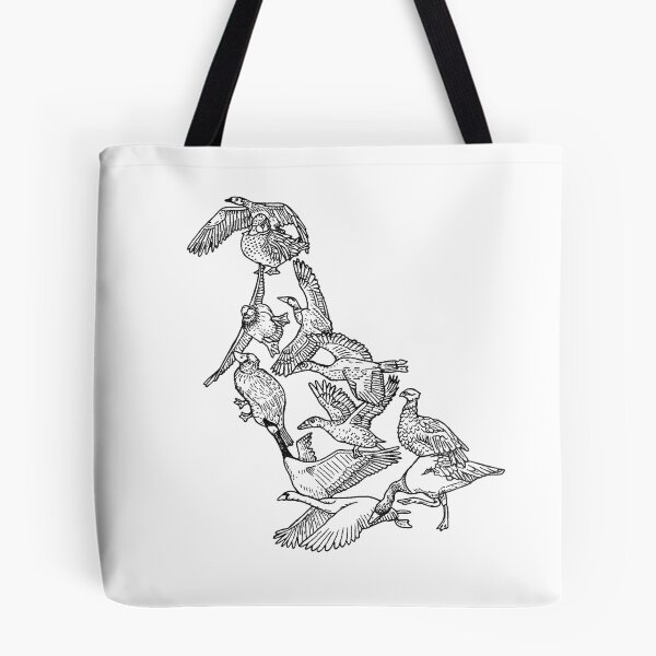 Item preview, Anseriformes - Black and White - Ducks - Birds - Evolution designed and sold by EvolutionPoster.