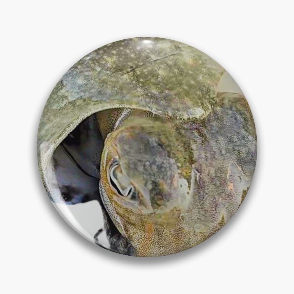 Item preview, Cuttlefish designed and sold by mary02.