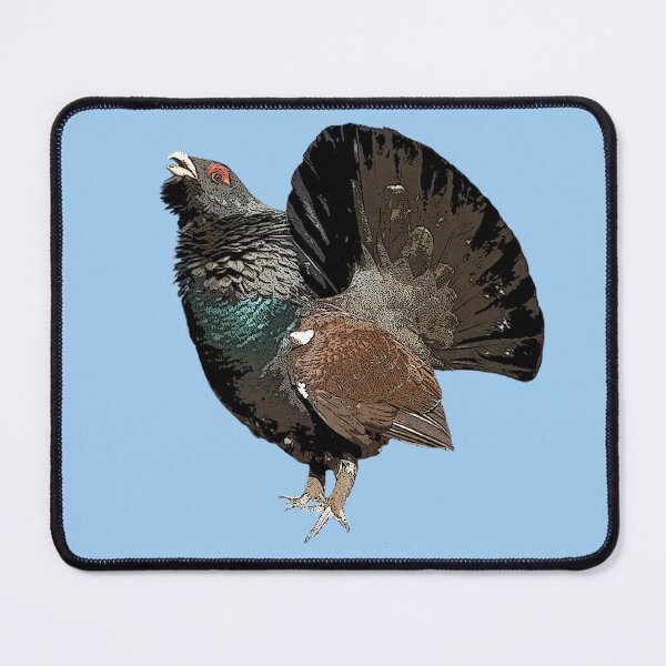 Item preview, Western Capercaillie Color Design designed and sold by designsasstultd.