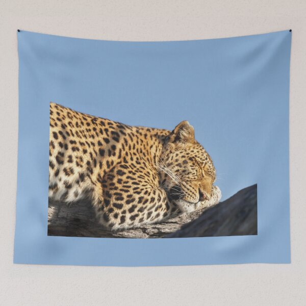 Item preview, Sleeping Spot designed and sold by Owed To Nature.