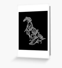 Anseriformes - White and Black - Ducks - Birds - Evolution Greeting Card