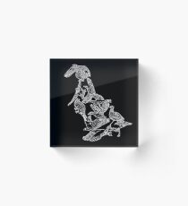 Anseriformes - White and Black - Ducks - Birds - Evolution Acrylic Block