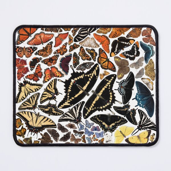 Item preview, Butterflies of North America designed and sold by JadaFitch.