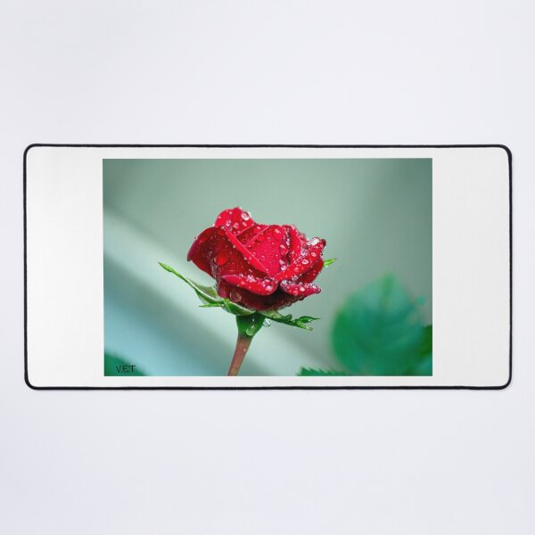 Item preview, Rain storm rose. designed and sold by ValueEveryThing.