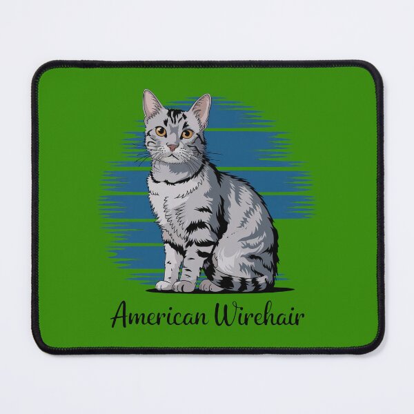 Item preview, American Wirehair designed and sold by MGRcompany.