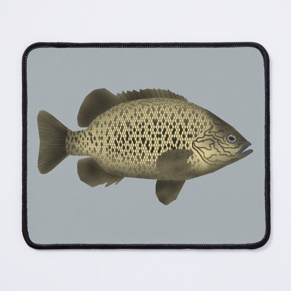 Item preview, Coal Grunter designed and sold by fishfolkart.