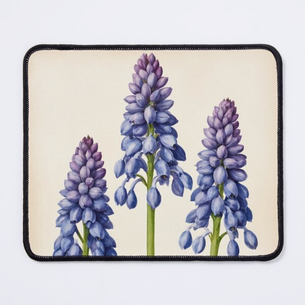 Item preview, Delicate Grape Hyacinth: A Botanical Illustration designed and sold by REPTISLAV.