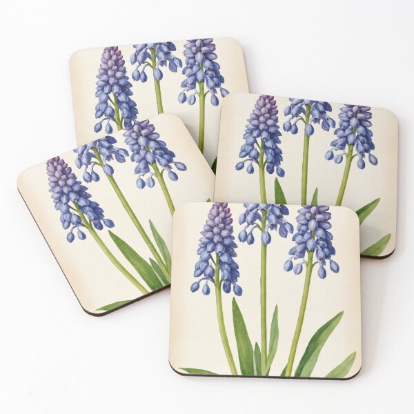Item preview, Delicate Grape Hyacinth: A Botanical Illustration designed and sold by REPTISLAV.