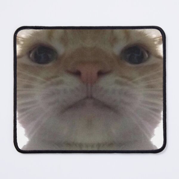 Item preview, Intense ominous cat meme designed and sold by delostantos.
