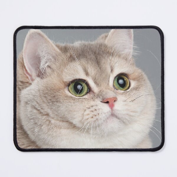 Item preview, Heavy Breathing Cat Meme designed and sold by delostantos.