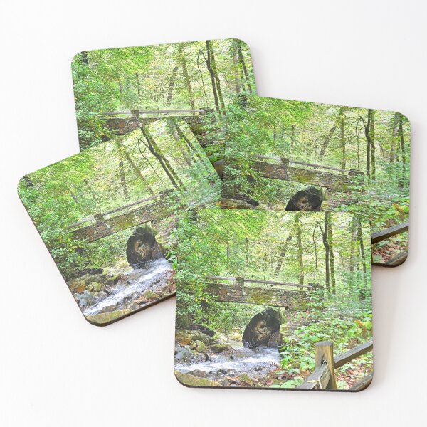 Item preview, Colt Creek At Pearson's Falls North Carolina designed and sold by LisaWootenPhoto.