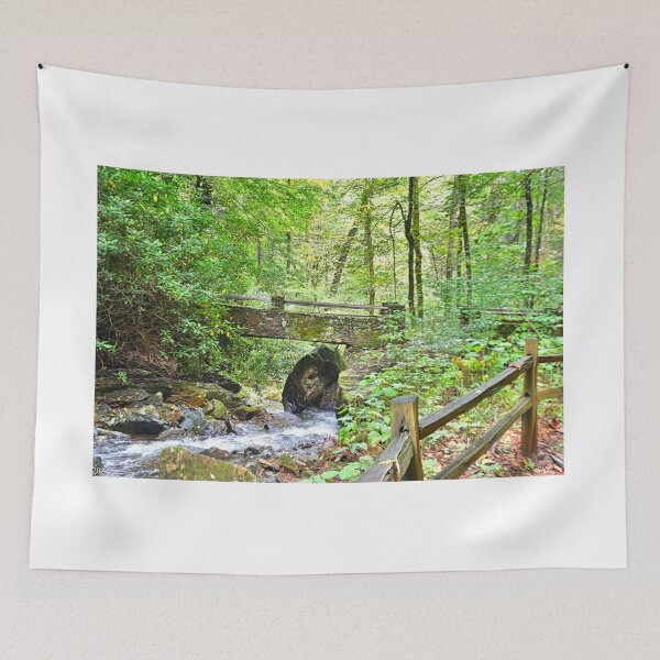 Item preview, Colt Creek At Pearson's Falls North Carolina designed and sold by LisaWootenPhoto.