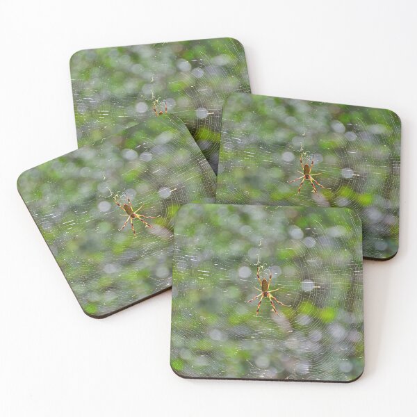 Item preview, Golden Orb-Weavers Wonderful Web designed and sold by LisaWootenPhoto.