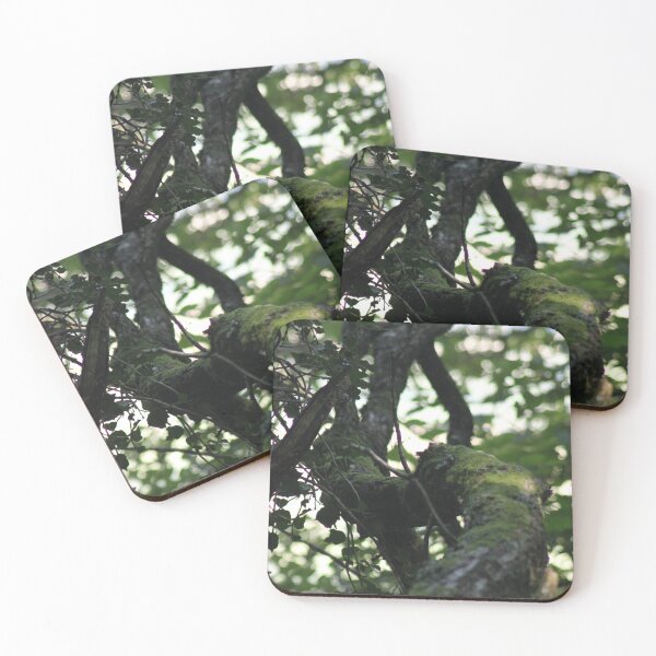 Item preview, Mossy branch in Devon designed and sold by Emma  Amies.