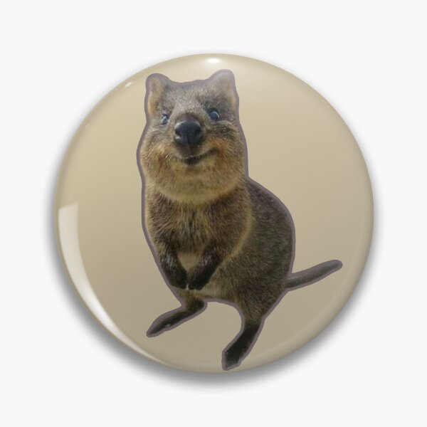 Item preview, Quokka designed and sold by SillyFun.