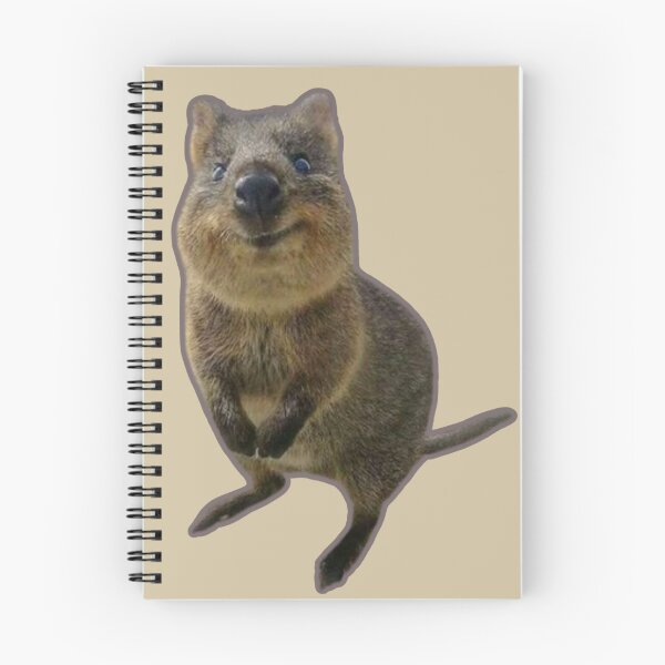 Item preview, Quokka designed and sold by SillyFun.