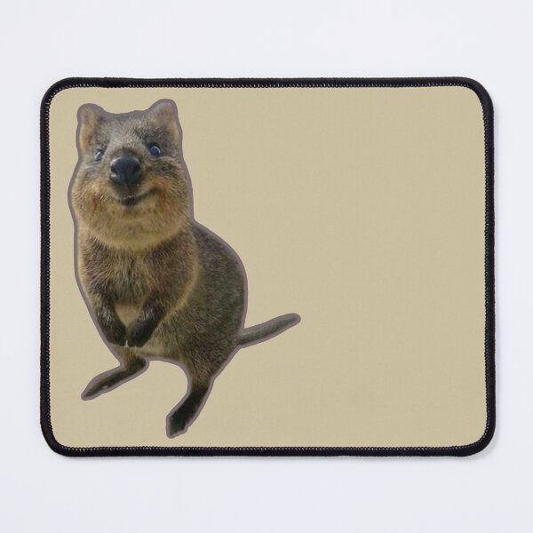 Item preview, Quokka designed and sold by SillyFun.