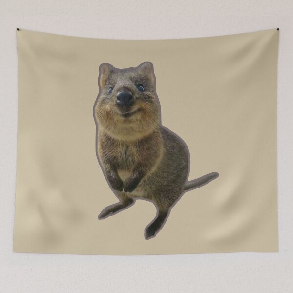 Item preview, Quokka designed and sold by SillyFun.