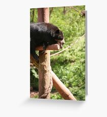 the bear necessities Grußkarte