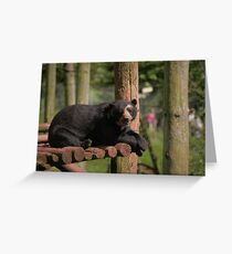 The Spectacled Bear Grußkarte