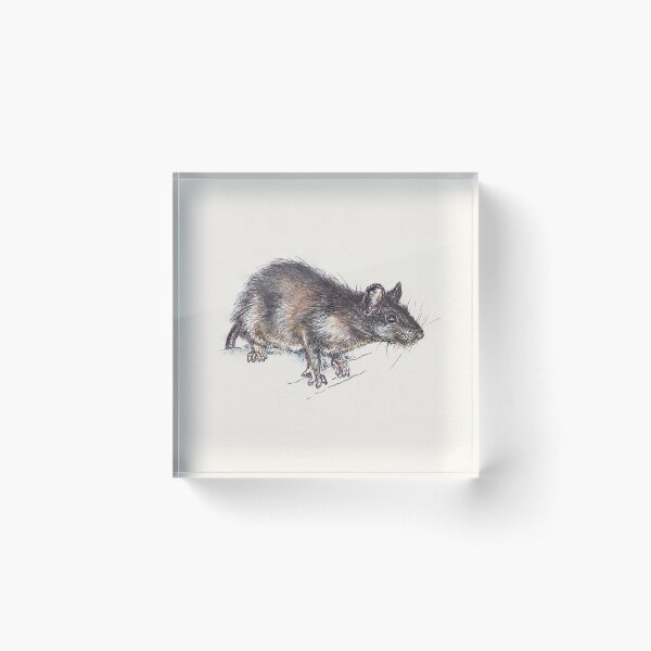 Item preview, Wild Rat designed and sold by Trin4ever.