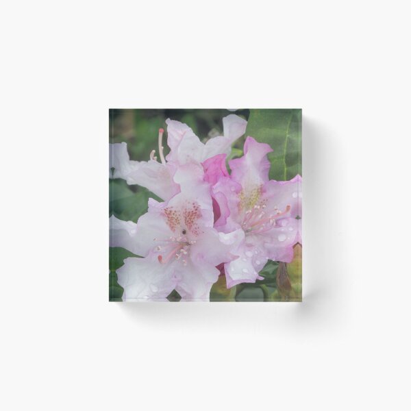Item preview, Dew on a Rhododendron designed and sold by TheVioletWitch.