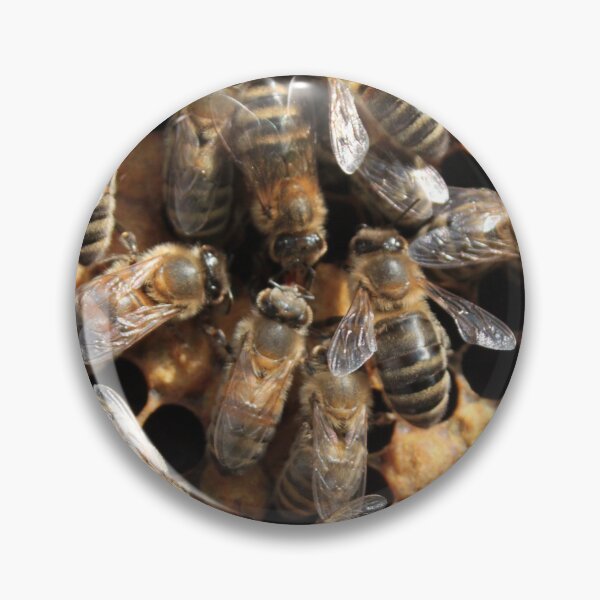Artikelvorschau, Honigbienen im Bienenstock entworfen und verkauft von LuLoveLock.