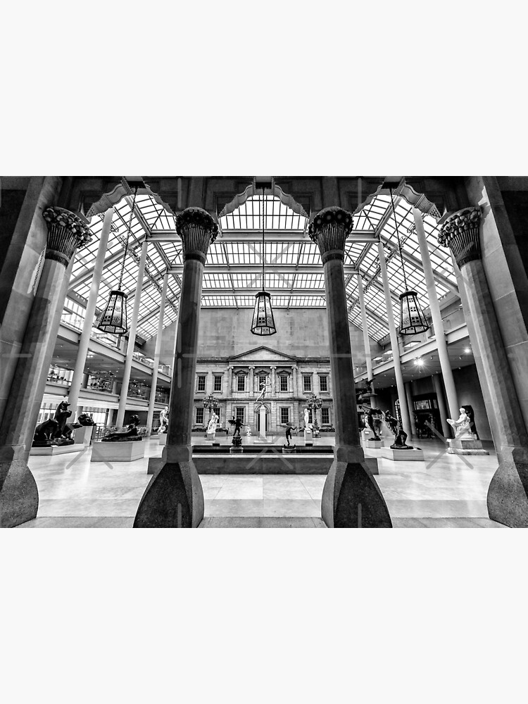 "Metropolitan Museum of Art New York Photography, Black and White