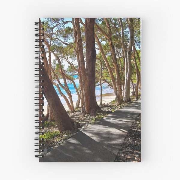 Item preview, Paseo por Tea Tree Bay - Parque Nacional Noosa Hermoso designed and sold by Adam Gormley.