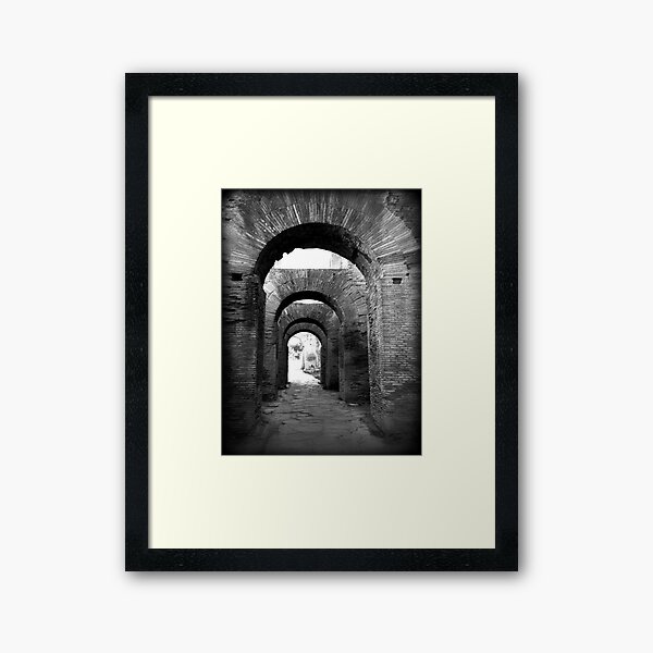 Arches of Palatine Hill, Ancient Rome Framed Art Print