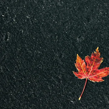 Artwork thumbnail, Fiery leaf by RJsphotography and More