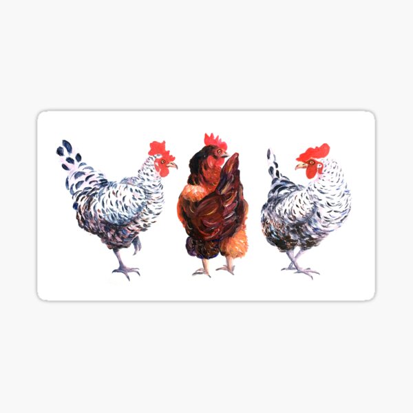 Three Hens Sticker