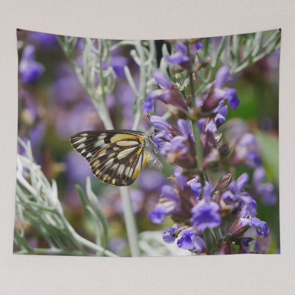 Item preview, Caper White Butterfly Belenois Java Teutonis designed and sold by Todays a Good Day.